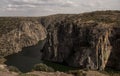 Scavenger birds land `Miranda do Douro`.