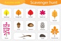 Scavenger hunt, autumn walk, different colorful autumn pictures for children, fun education search game for kids, development for Royalty Free Stock Photo