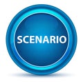 Scenario Eyeball Blue Round Button