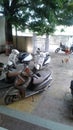 Scenario of parking motorcycles in Indian street of Maharashtra