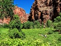 Scene along Havasu Creek Havasupai Indian Reservation Grand Canyon National Park Arizona US Royalty Free Stock Photo