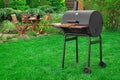 Scene Of Barbecue Grill Party On Lawn In The Backyard Royalty Free Stock Photo