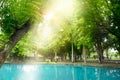 Scene of the beautiful nature of relaxing park, the green city center with morning sunshine and blue basin, the relaxation concept Royalty Free Stock Photo