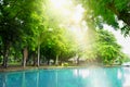 Scene of the beautiful nature of relaxing park, the green city center with morning sunshine and blue basin, the relaxation concept Royalty Free Stock Photo