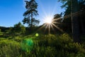 Scene of beautiful sunset at summer field with trees Royalty Free Stock Photo