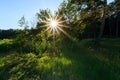 Scene of beautiful sunset at summer field with trees Royalty Free Stock Photo