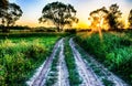 Scene of beautiful sunset at summer field with trees and grass Royalty Free Stock Photo