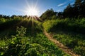 Scene of beautiful sunset at summer field with trees Royalty Free Stock Photo