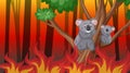 Scene with big wildfire burning trees and koalas in the forest