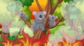 Scene with big wildfire and koalas trapped in the forest