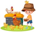 Scene with boy feeding chickens on the farm