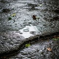 The scene captures the quiet moment during or after rainfall emphasizing Royalty Free Stock Photo