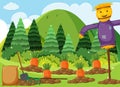 Scene with carrot garden and scarecrow Royalty Free Stock Photo