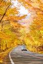 Scene of cars drive along the road with autumn red leaf in Aomori, Japan. Beautiful country side along the road great time for tr