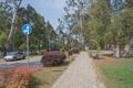 Scene of city road City in summer with paths strewn. road signs. green trees