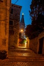 Scene of a cobblestoned street in the historic center of Rovinj in Croatia during night Royalty Free Stock Photo