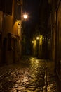 Scene of a cobblestoned street in the historic center of Rovinj in Croatia during night Royalty Free Stock Photo