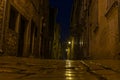 Scene of a cobblestoned street in the historic center of Rovinj in Croatia during night Royalty Free Stock Photo