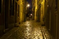 Scene of a cobblestoned street in the historic center of Rovinj in Croatia during night Royalty Free Stock Photo