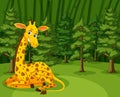 Scene with cute giraffe sitting in the big forest