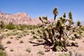 Desert Landscape In Red Rock Conservation Area, Southern Nevada, USA Royalty Free Stock Photo