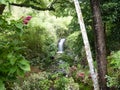 Scene of Dominica, West Indies Royalty Free Stock Photo