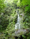 Scene of Dominica, West Indies Royalty Free Stock Photo