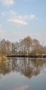 Scene of early spring on the river.Symmetric picture,reflection of trees in the water.Vertical orientation of the image