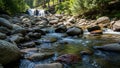 Scene featuring a clear flowing stream surrounded by smooth rounded Royalty Free Stock Photo