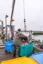 Scene of fisherman transfer fish in fishing dock in the morning.