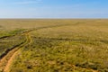 Scene with fork roads in steppe on sunset sky background