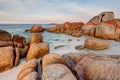 Scene of giant granite rock boulders covered in orange and red lichen at the Bay of Fires in Tasmania, Australia Royalty Free Stock Photo