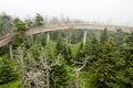 Scene from Great Smokey Mountains at Clingman`s Dome