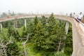 Scene from Great Smokey Mountains at Clingman`s Dome