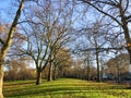 Scene of green grass field and withered trees in morning at St James`s park in London Royalty Free Stock Photo