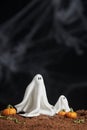 Scene of halloween, ghost couple, father and son, surrounded by pumpkins made of sugar paste on chocolate cake ground, black