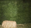 Scene with hay in the meadow. Beautiful scenery. A stack of hay. sheaf of hay. Green grass - background. Hay on a background of gr