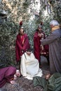 Scene of Jesus life. Jesus in the Garden of Gethsemane Royalty Free Stock Photo