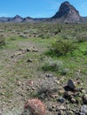 Scene on the Mohave - Milltown Railroad trail Royalty Free Stock Photo