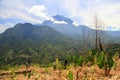 Scene of Mount Kinabalu Royalty Free Stock Photo