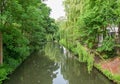 A Dutch canal. Trees on both sides, The green leafs touching the water.