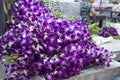 Market stall selling purple orchids