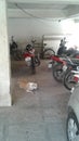 Scene of parking under basement of an Apartment in India
