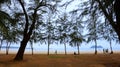 Scene of the people do activities leisurely at the beach