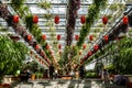 Scene of the plant exhibition area of the 19th China Changchun International AgricultureÃ¢â¬Â¢Food Expo Trade