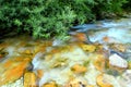 Scene with rivulet of the Ambro river and see-through waters Royalty Free Stock Photo