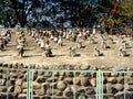 Rock Garden Chandigarh example of creative mind Royalty Free Stock Photo