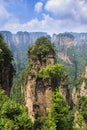 scene of rock mountain in Zhangjiajie National Forest Park,Hunan, China Royalty Free Stock Photo