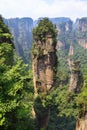 scene of rock mountain in Zhangjiajie National Forest Park,Hunan, China Royalty Free Stock Photo