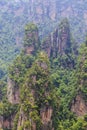 scene of rock mountain in Zhangjiajie National Forest Park,Hunan, China Royalty Free Stock Photo